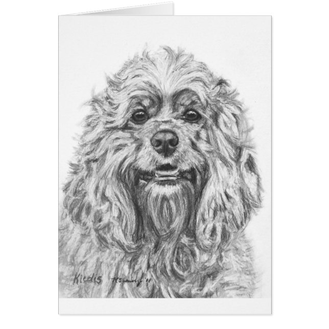 Teckning för cockerspanielSpanielkol Hälsningskort (Framsidan)