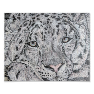Teckning för snöleopard, design för snöleopard fototryck