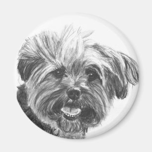 Teckning för Yorkie blandningkol Magnet
