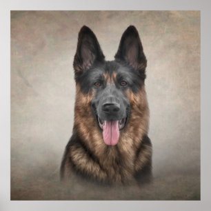 Teckning German Shepherd Hund Poster