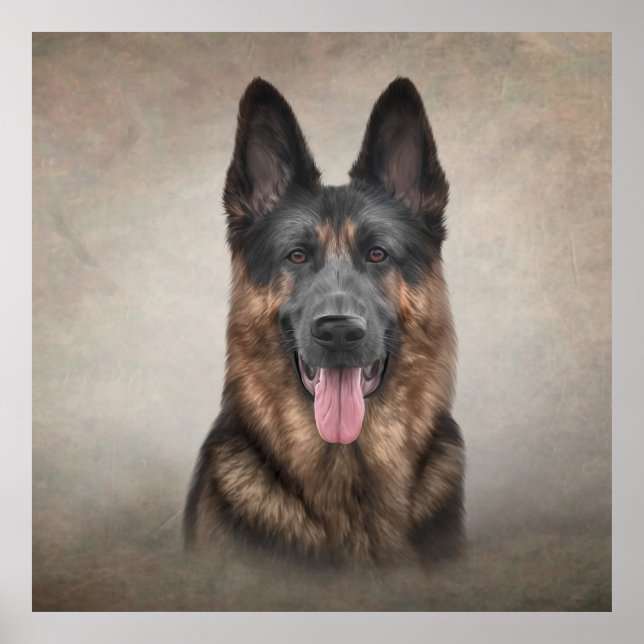 Teckning German Shepherd Hund Poster (Framsidan)