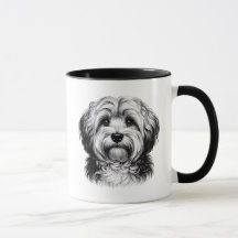 Teckning Havanese Hund