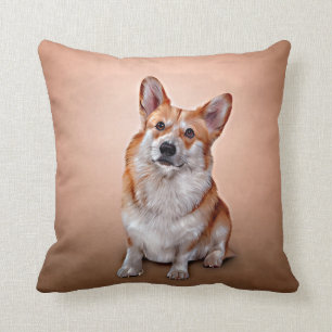 Teckning Hund aveln Welsh Corgi Kudde