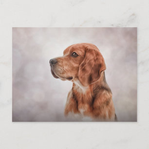 Teckning Hund Beagle Vykort
