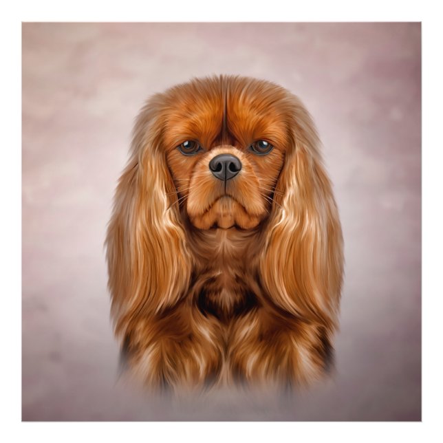 Teckning Hund Cavalier Kung Charles Spanska Fototryck (Framsidan)