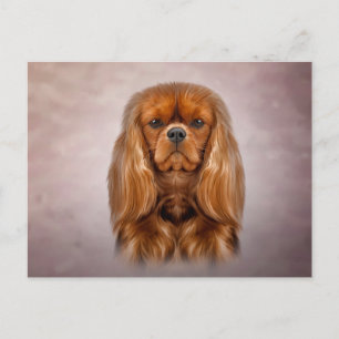 Teckning Hund Cavalier Kung Charles Spanska Vykort