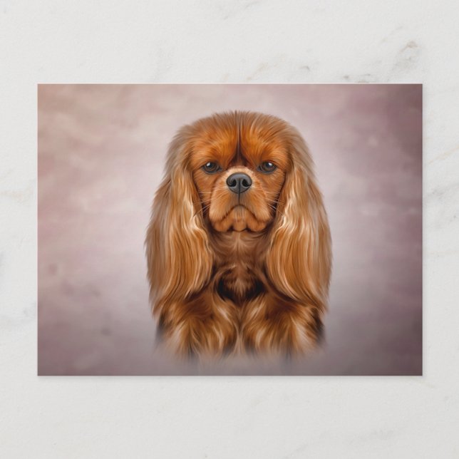 Teckning Hund Cavalier Kung Charles Spanska Vykort (Framsida)