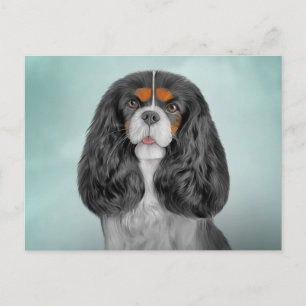 Teckning Hund Cavalier Kung Charles Spanska Vykort
