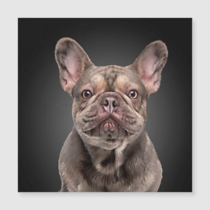 Teckning hund Fransk Bulldog Anteckningsblock Deko