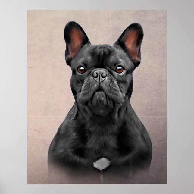 Teckning hund Fransk Bulldog Poster (Framsidan)