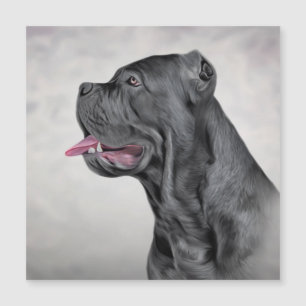 Teckning hund Käpp Corso - Italienska Mastiff 12