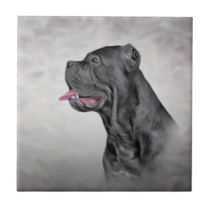 Teckning hund Käpp Corso - Italienska Mastiff Kakelplatta