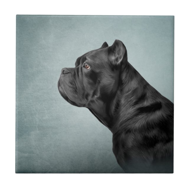 Teckning hund Käpp Corso - Italienska Mastiff Kakelplatta (Framsidan)