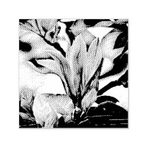 Teckning i en magnolia blomma gren självtryckande