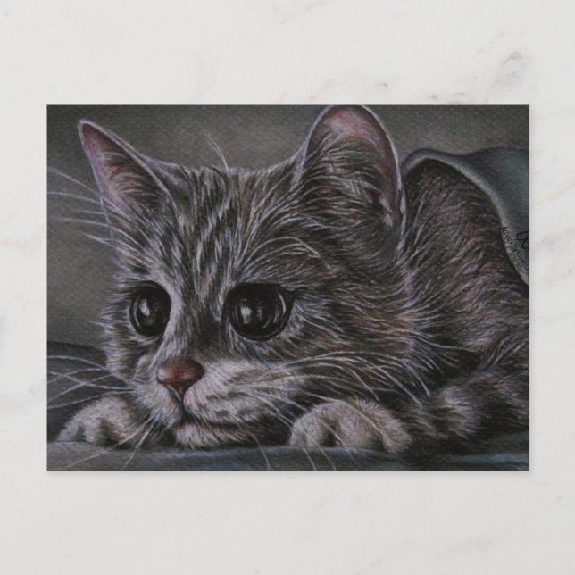 Teckning i Kitten på vykortet Vykort (Framsida)