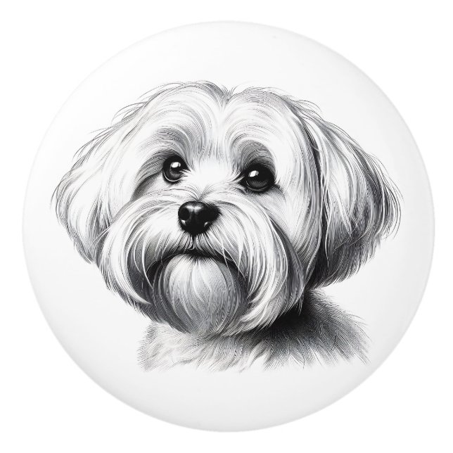 Teckning Malteser Hund Knopp (Framsidan)