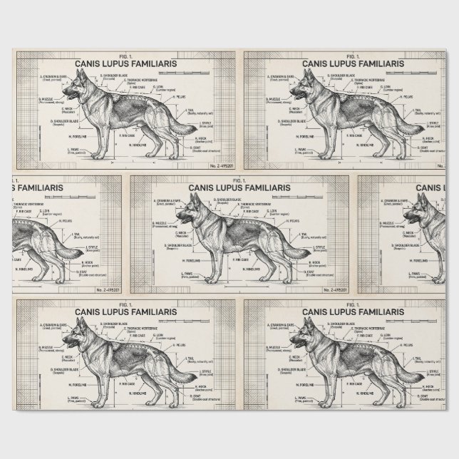 Teckning På Tysk Schäferhund Presentpapper (Platt)