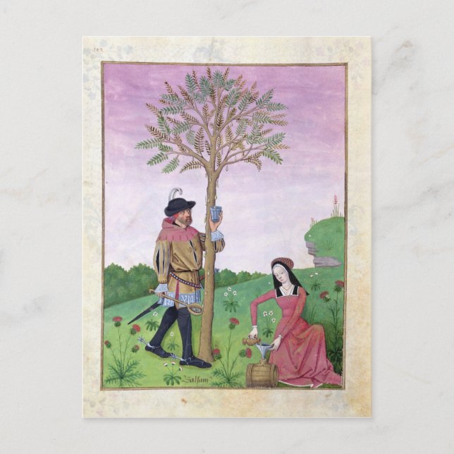 Teckning sap från träd vykort (Framsida)