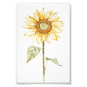 Teckning Solros - Vintage Funny Birthday Gift Fototryck