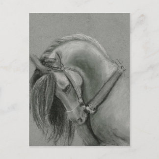 Teckning (Spanien) av Lucinda Knowlton Vykort