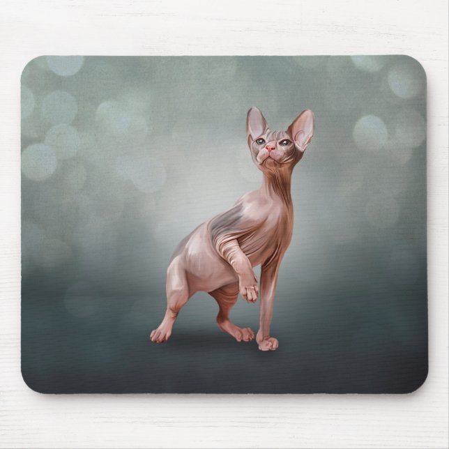 Teckning Sphynx kitten Musmatta (Framsidan)