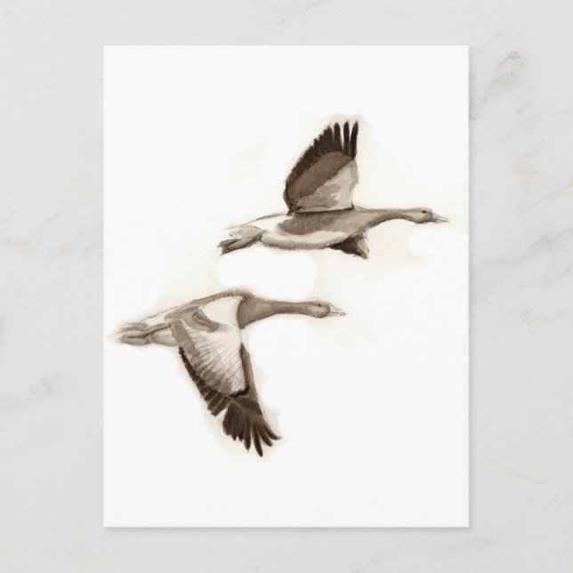 Teckning Vykort (Framsida)