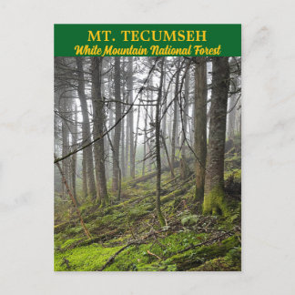 Tecumseh White Mountains Postcard Vykort