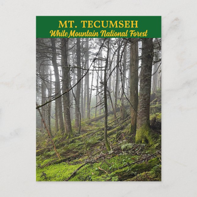 Tecumseh White Mountains Postcard Vykort (Framsida)