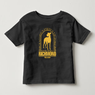 Ted Lasso AFC Richmond Guld Arched Logotyp T Shirt
