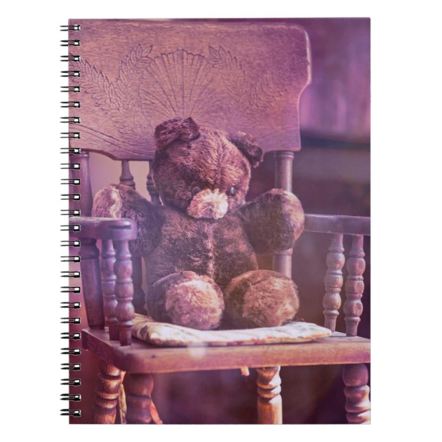 Teddy Anteckningsbok (Framsidan)