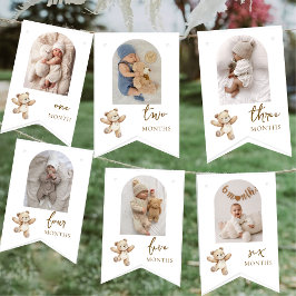 Teddy Bear First Birthday Photo Party  Vimplar