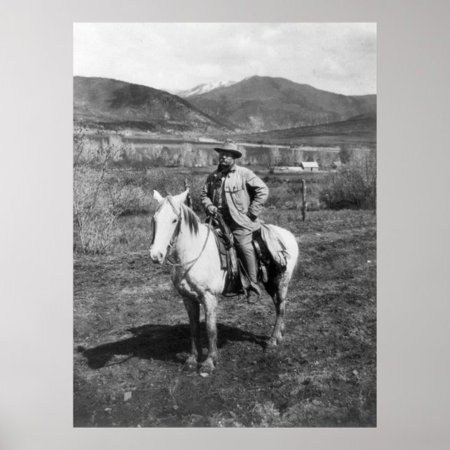 Teddy Goes Bear Hunting, 1905 Poster (Framsidan)