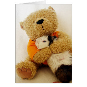 Teddy Hugs A Guinea Gris Hälsningskort