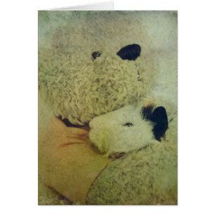 Teddy Hugs A Guinea Gris Hälsningskort