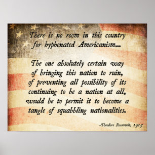 Teddy Roosevelt citationstecken Poster