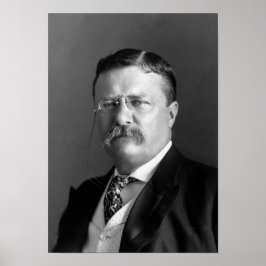 Teddy Roosevelt Porträtt - 1904 Poster