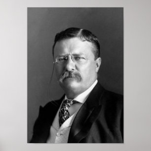 Teddy Roosevelt Porträtt - 1904 Poster