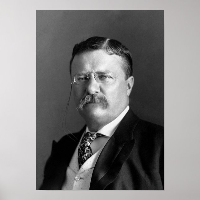 Teddy Roosevelt Porträtt - 1904 Poster (Framsidan)