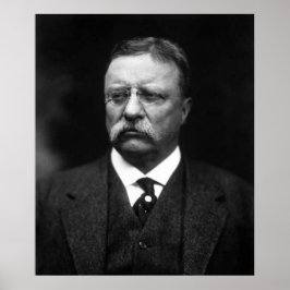 Teddy Roosevelt Poster