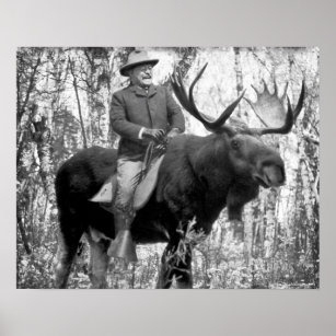 Teddy Roosevelt Riding A Bull Moose Poster