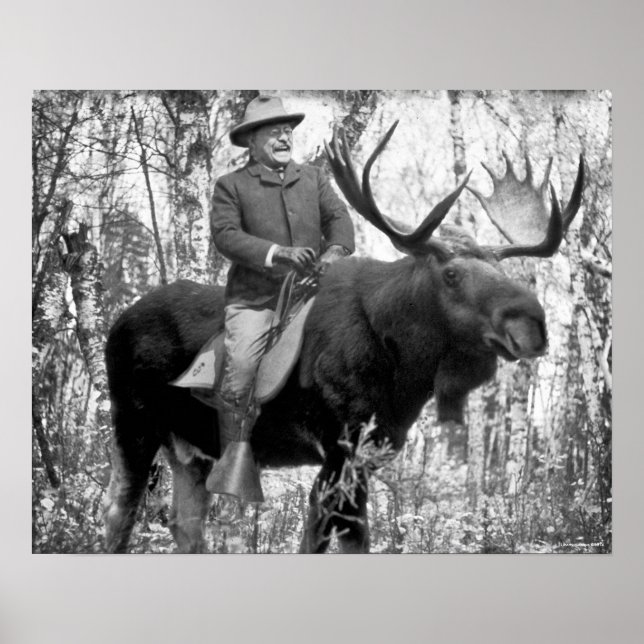 Teddy Roosevelt Riding A Bull Moose Poster (Framsidan)