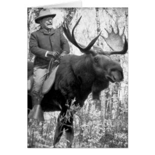 Teddy Roosevelt som rider en tjurälg Hälsningskort