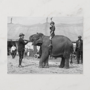Teddy Roosevelt vid Circus: 1924 Vykort