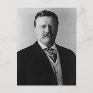 Teddy Roosevelt Vykort