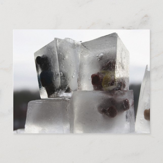 Teddy Vykort (Framsida)