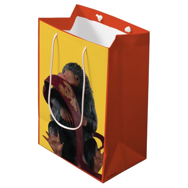 Teddy With Tie Graphic (Framsidan Vinklad)