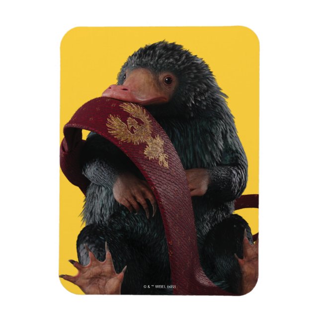 Teddy with Tie Graphic Magnet (Vertikal)