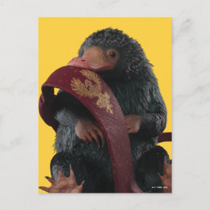 Teddy with Tie Graphic Vykort