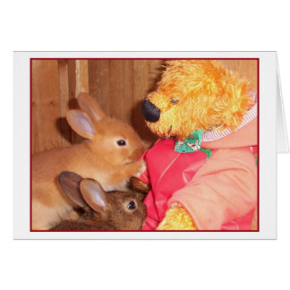 teddybears älskar lite bebiskaniner hälsningskort