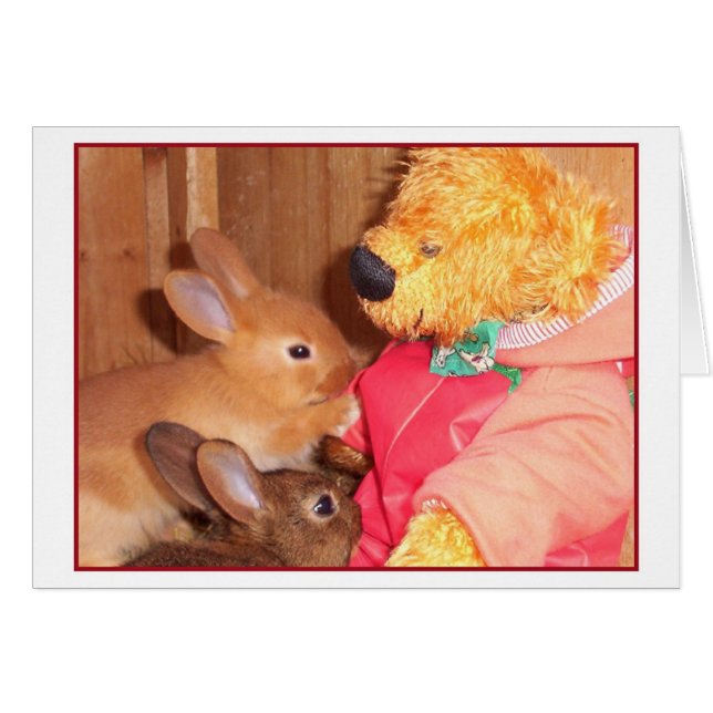 teddybears älskar lite bebiskaniner hälsningskort (Framsidan Horizontal)